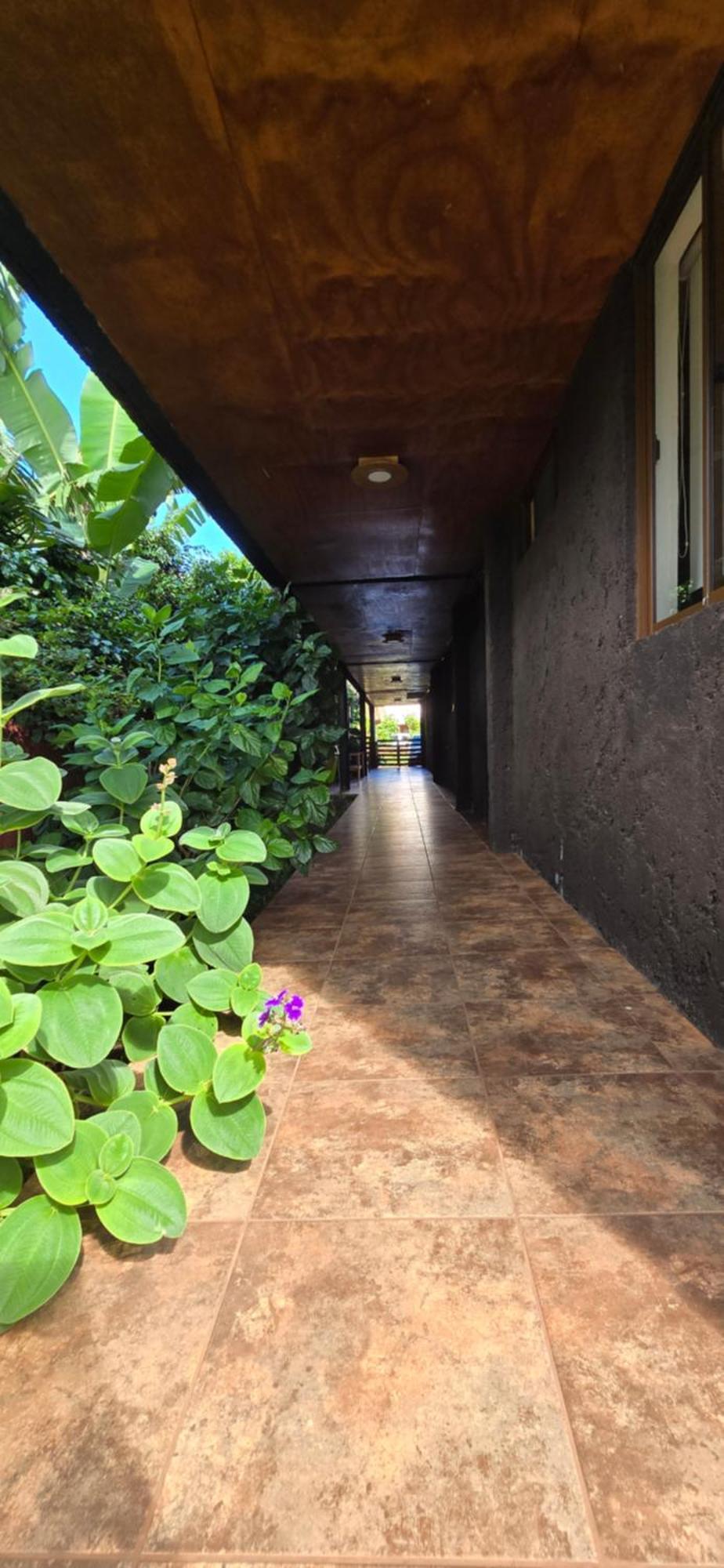 Apartamentos Tupuna Lodge Анґа-Роа Номер фото